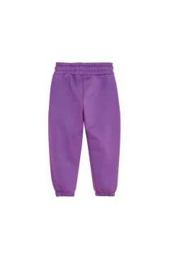The Akala Studio Pantalones Royal Purple Nina Hot